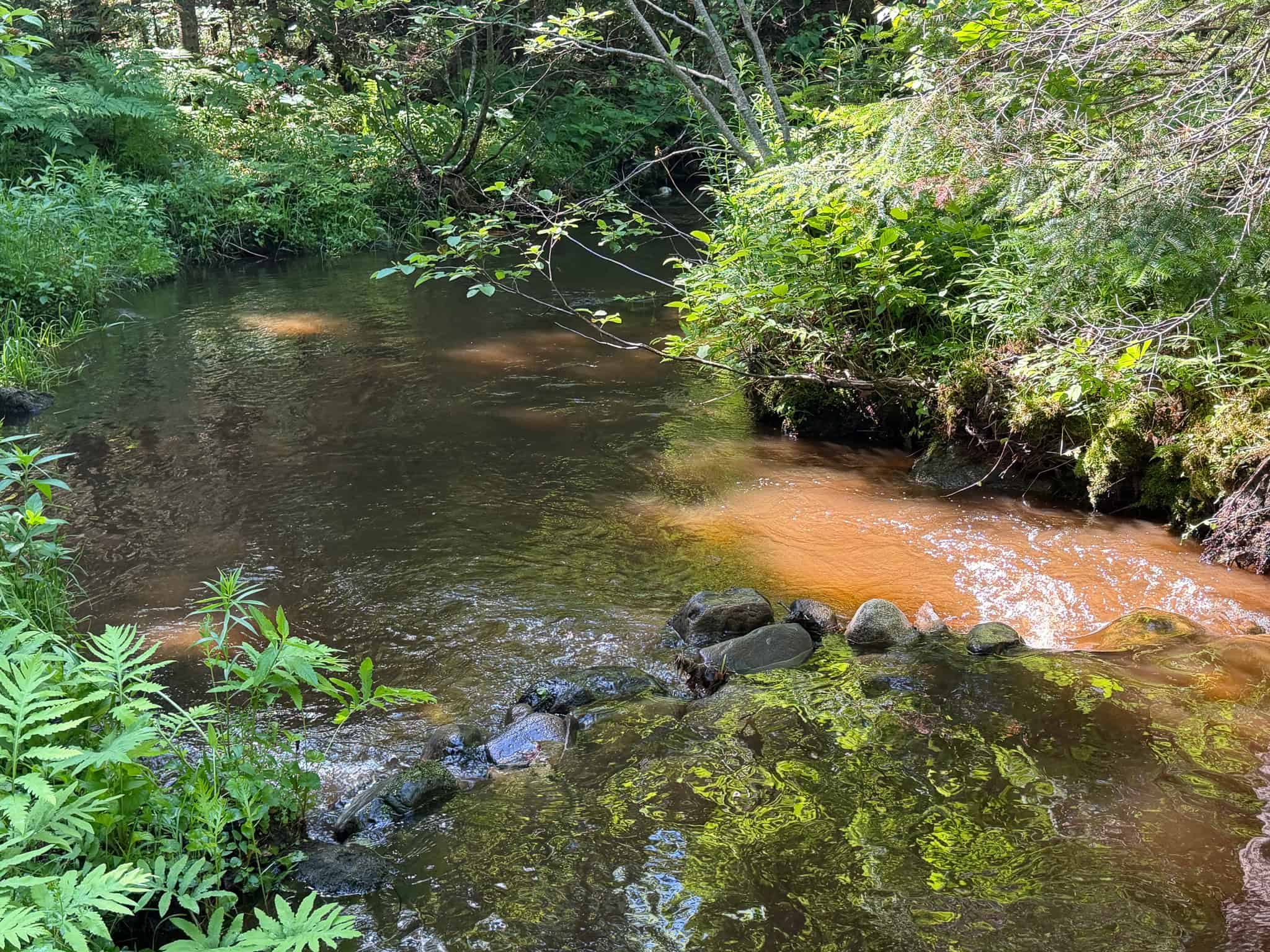 24.72 Surveyed Acres with Mountain Views – Phillips, Maine