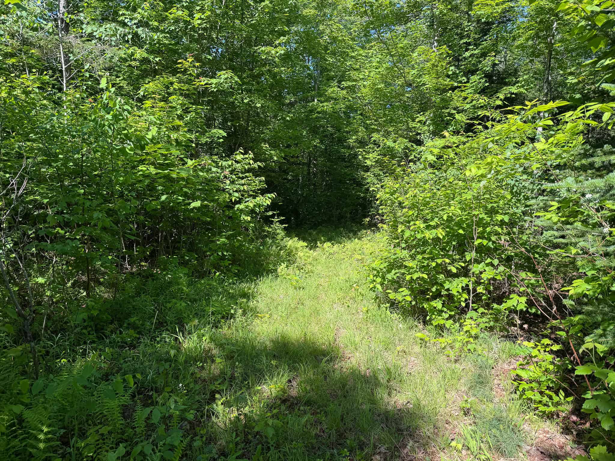 24.72 Surveyed Acres with Mountain Views – Phillips, Maine