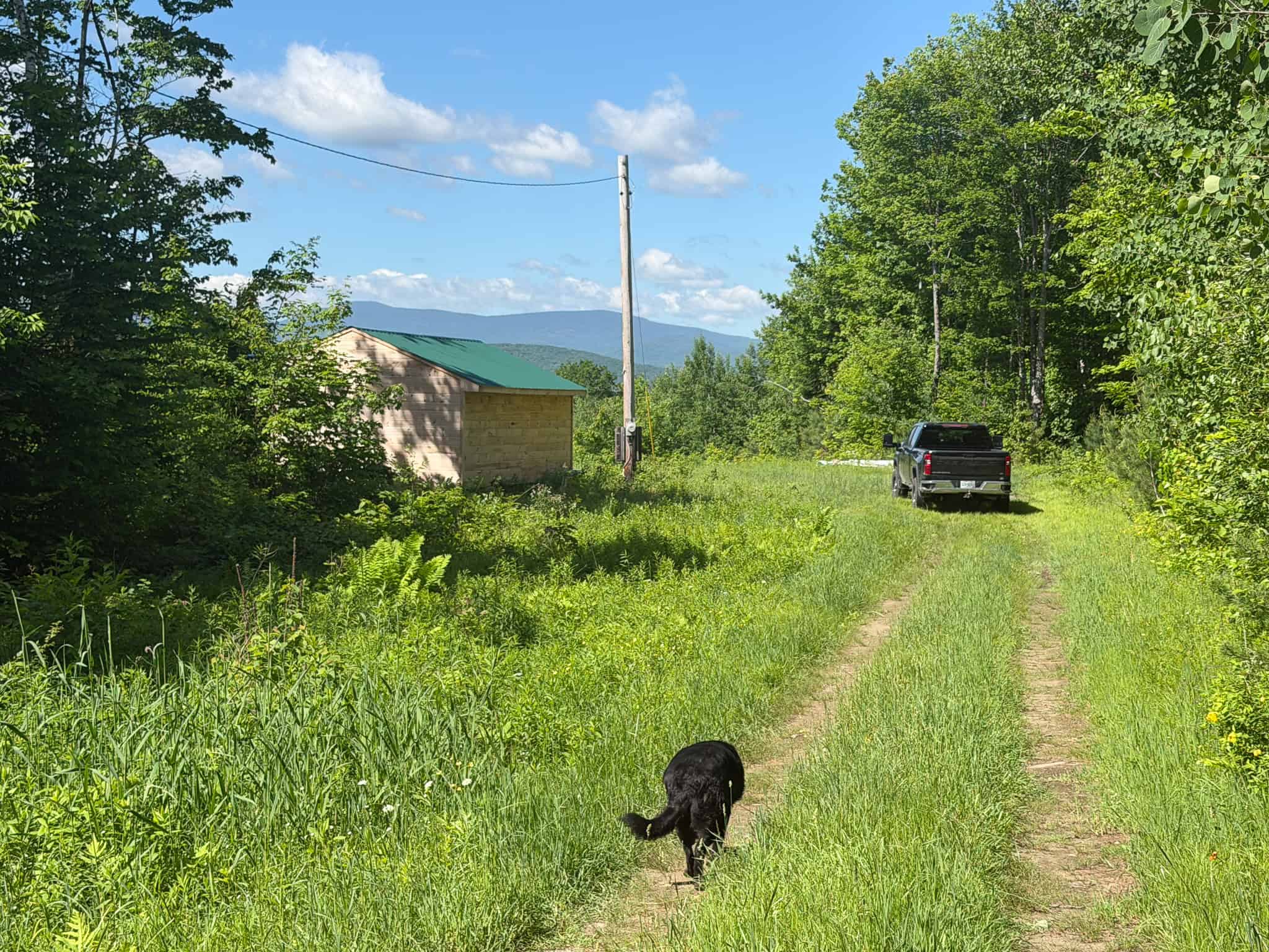24.72 Surveyed Acres with Mountain Views – Phillips, Maine