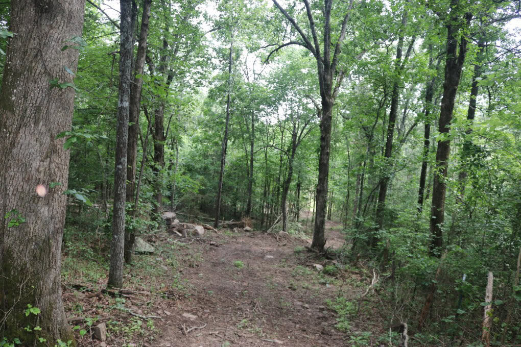 80 Acres with Year Round Creek in the Ozark Mountains For Sale