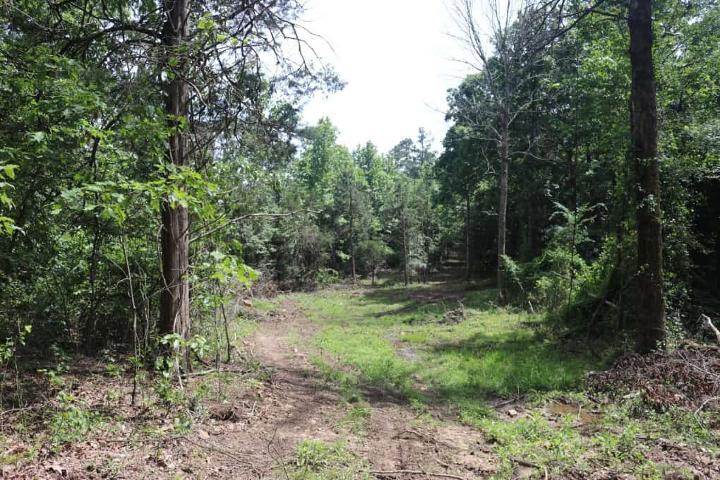 80 Acres with Year Round Creek in the Ozark Mountains For Sale