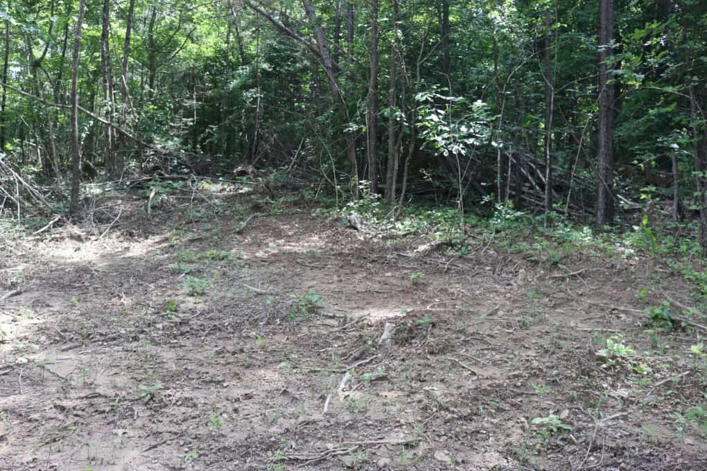 80 Acres with Year Round Creek in the Ozark Mountains For Sale