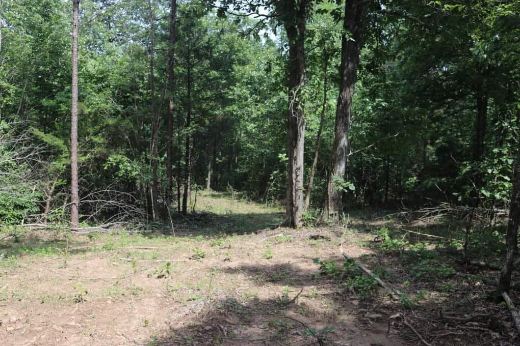 80 Acres with Year Round Creek in the Ozark Mountains For Sale