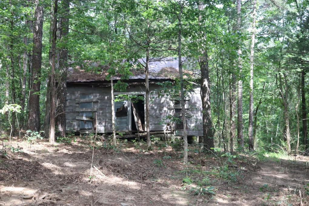 80 Acres with Year Round Creek in the Ozark Mountains For Sale