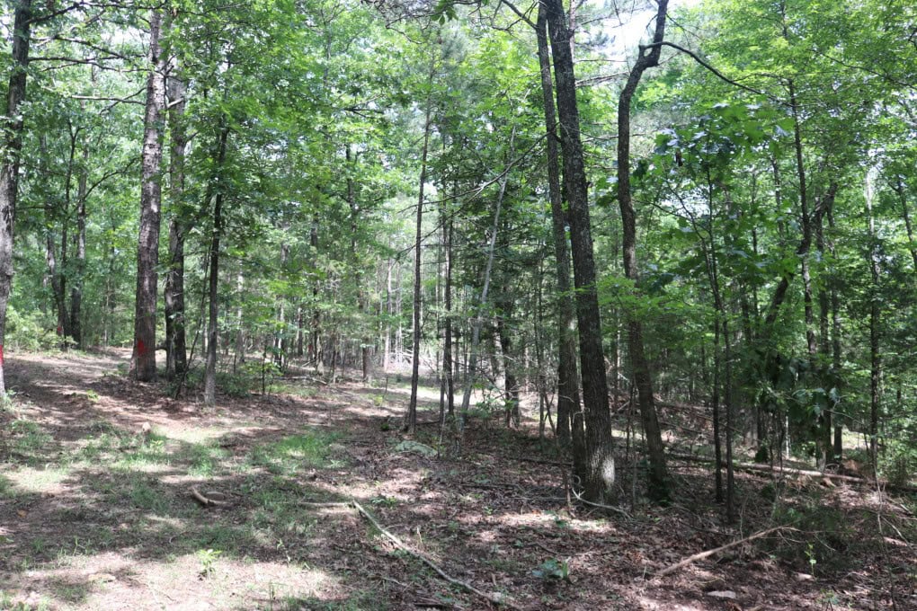 80 Acres with Year Round Creek in the Ozark Mountains For Sale