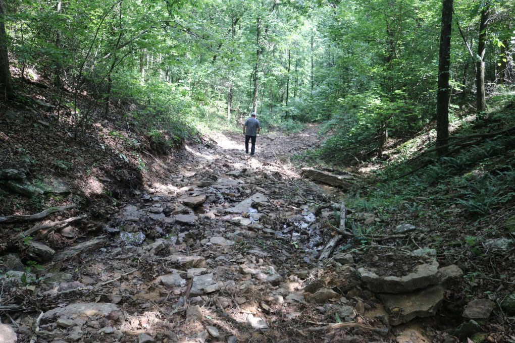 80 Acres with Year Round Creek in the Ozark Mountains For Sale