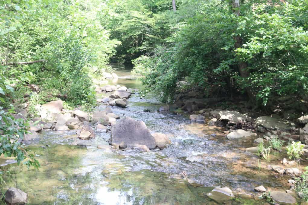 80 Acres with Year Round Creek in the Ozark Mountains For Sale