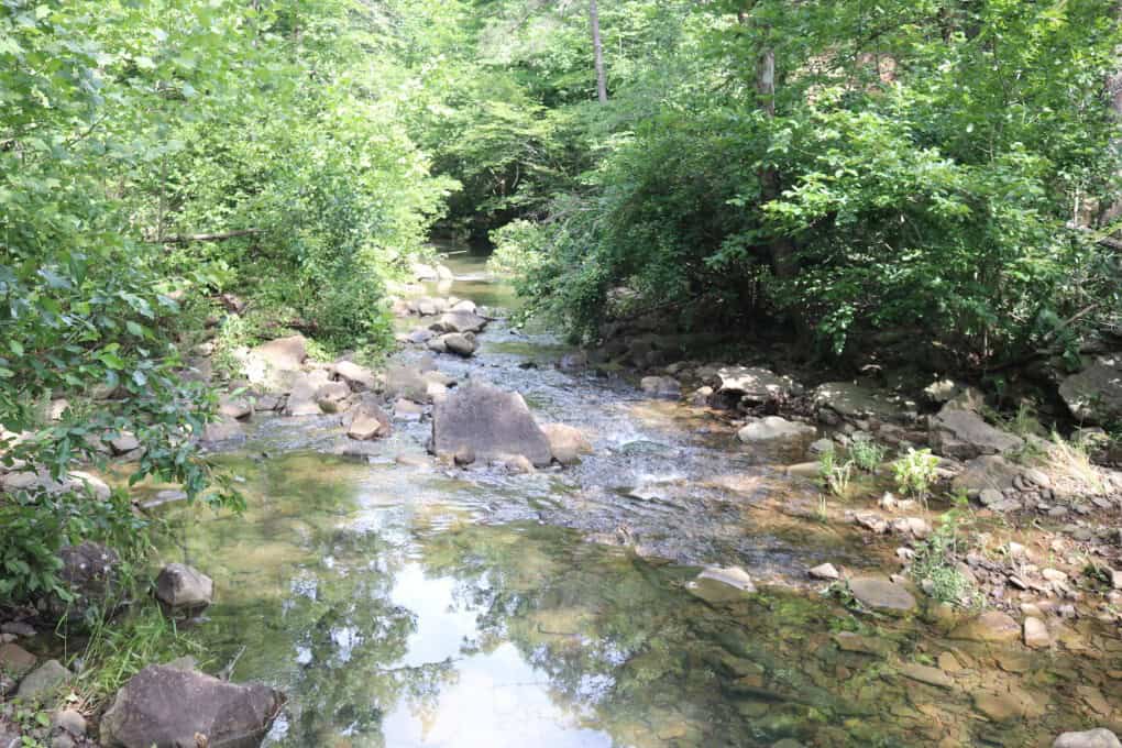 80 Acres with Year Round Creek in the Ozark Mountains For Sale