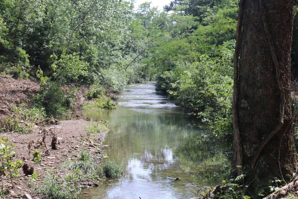 80 Acres with Year Round Creek in the Ozark Mountains For Sale