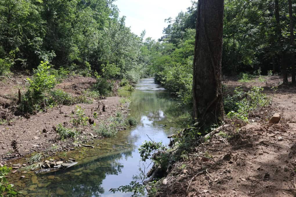 80 Acres with Year Round Creek in the Ozark Mountains For Sale