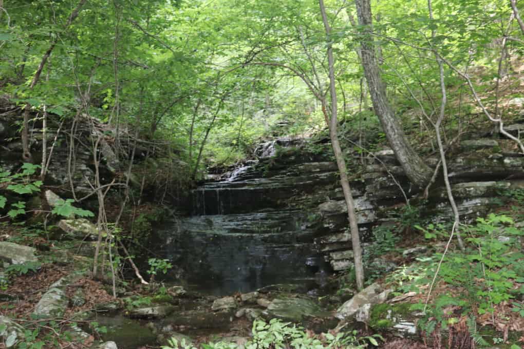 80 Acres with Year Round Creek in the Ozark Mountains For Sale