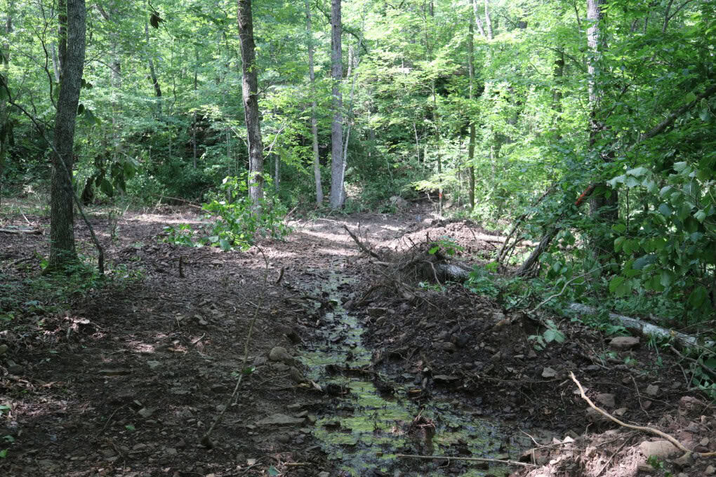 80 Acres with Year Round Creek in the Ozark Mountains For Sale