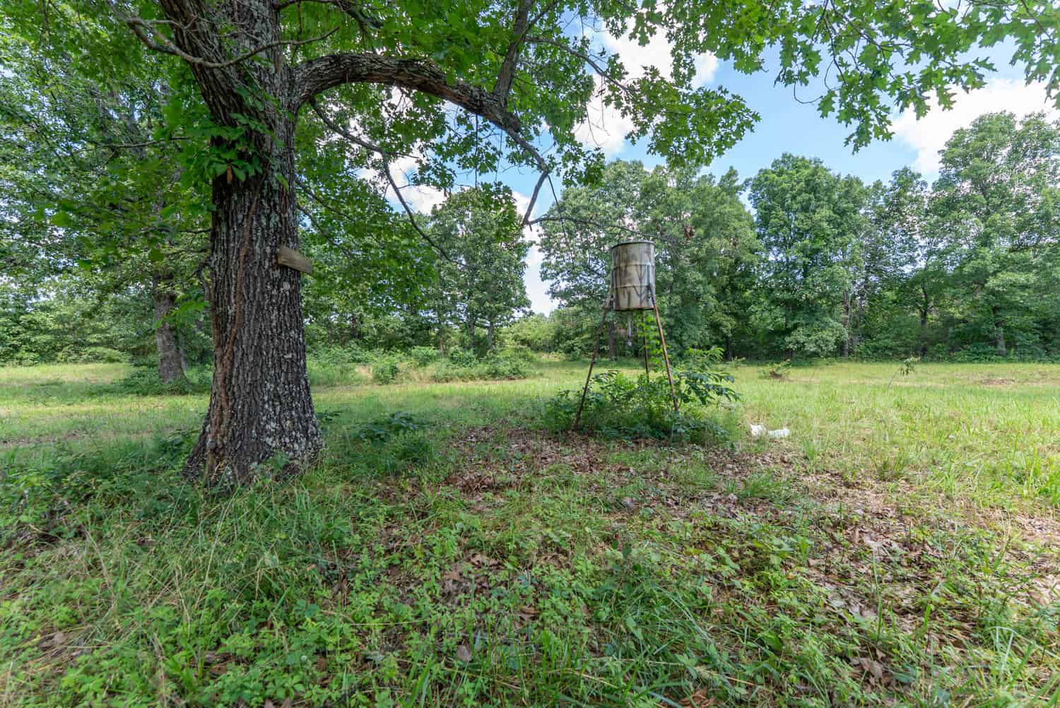 Hunting Property in the Ozarks