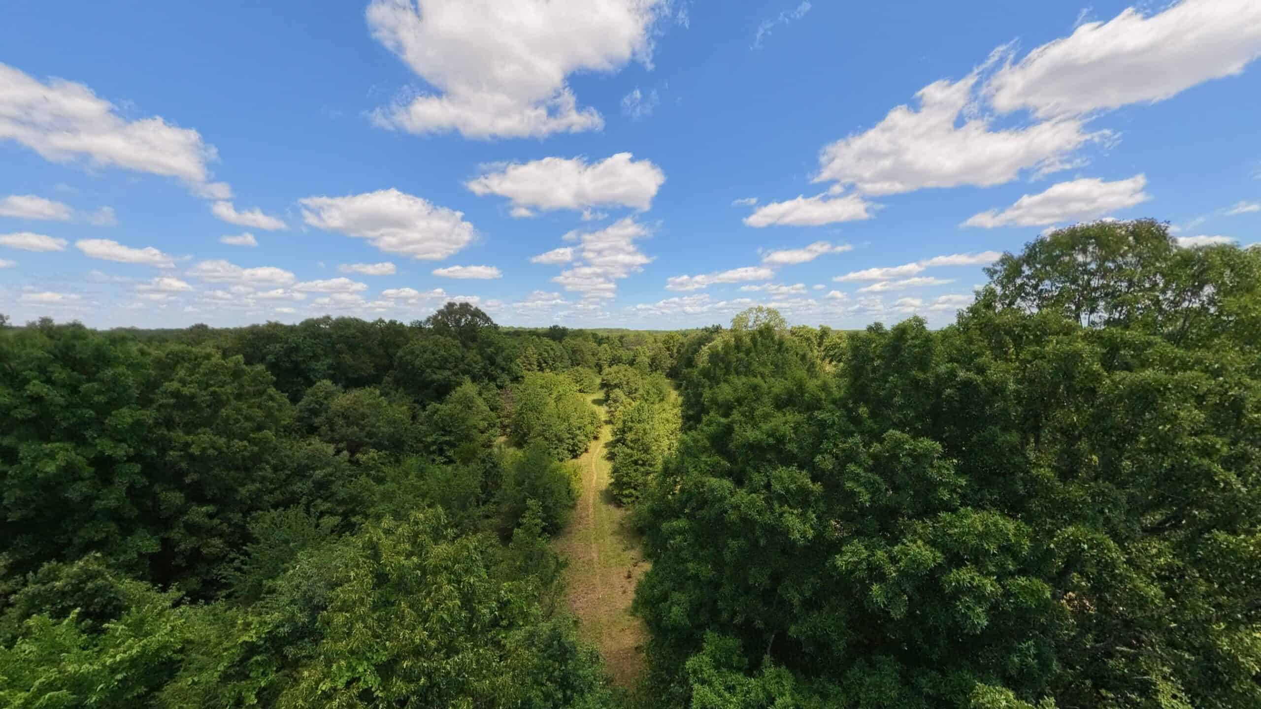 Hunting Property in the Ozarks
