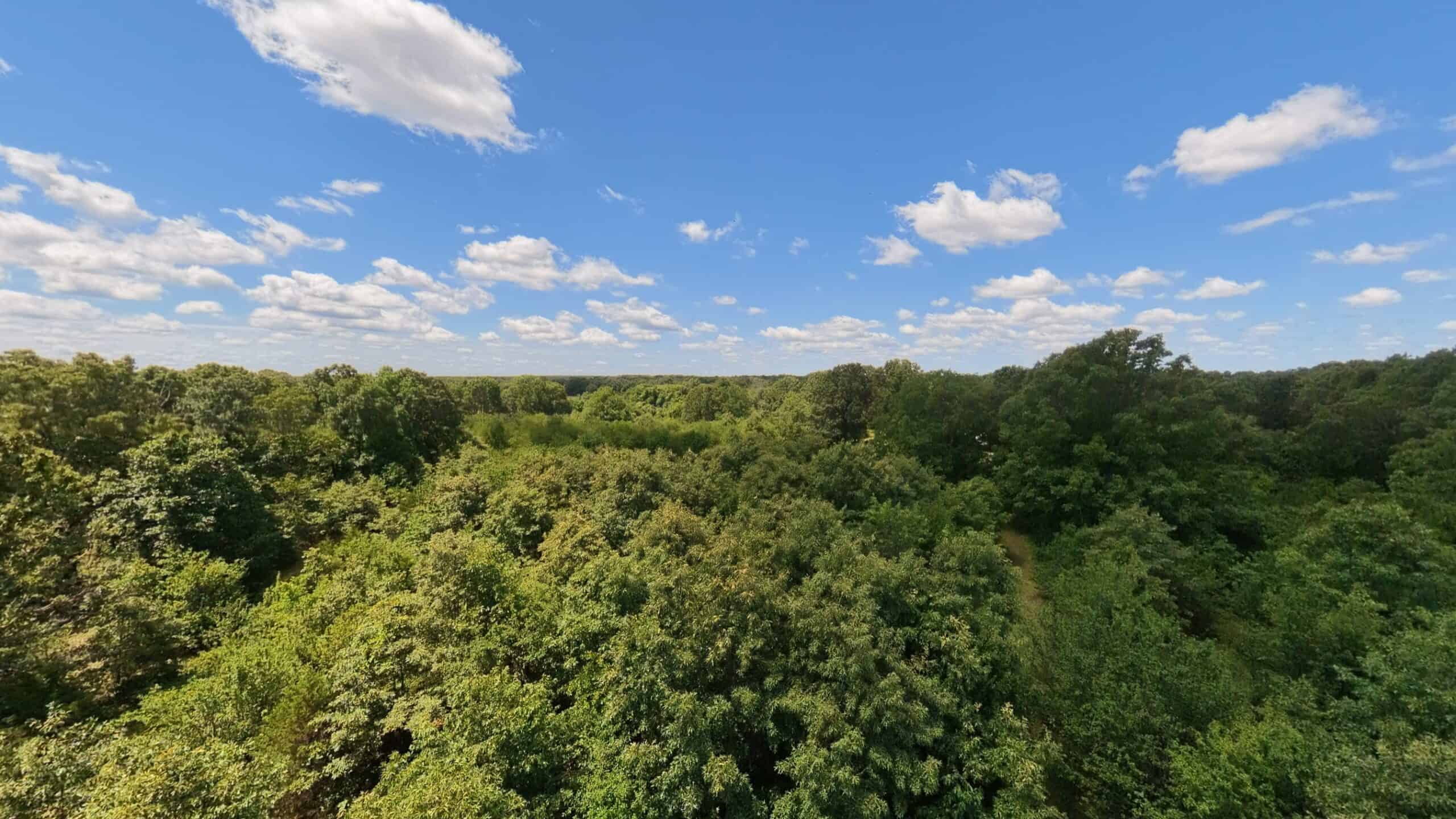 Hunting Property in the Ozarks