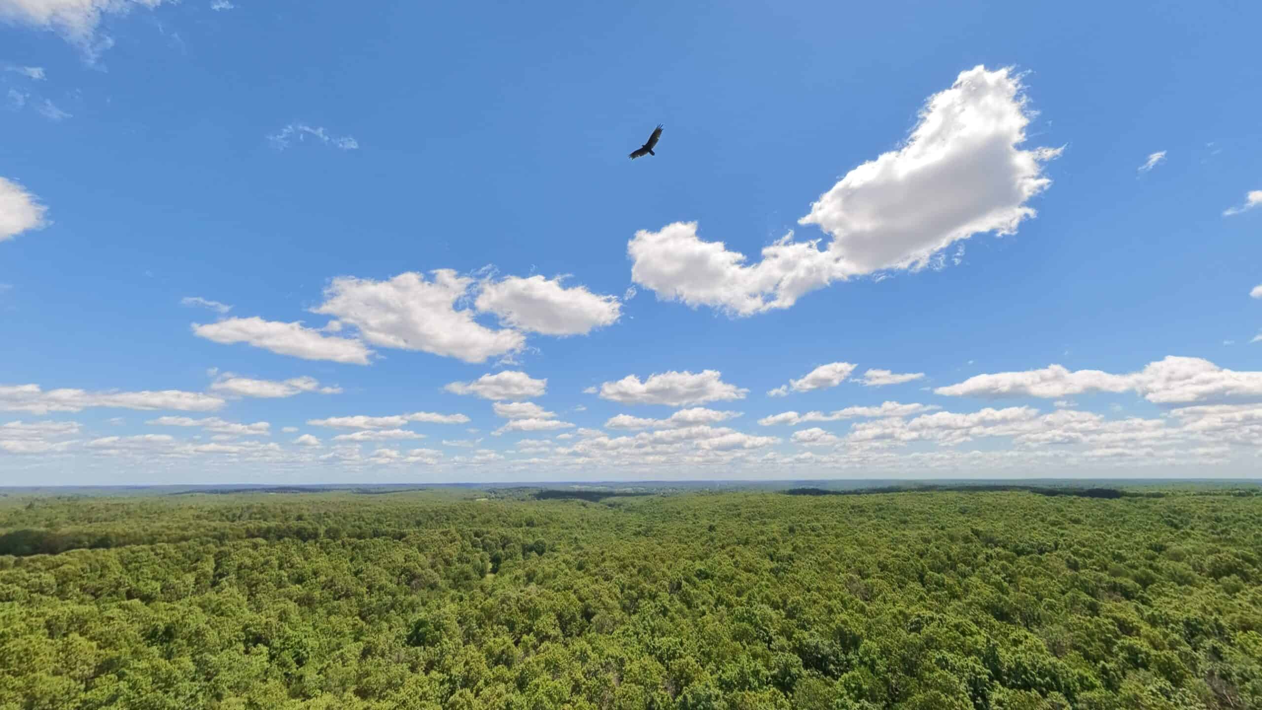Hunting Property in the Ozarks