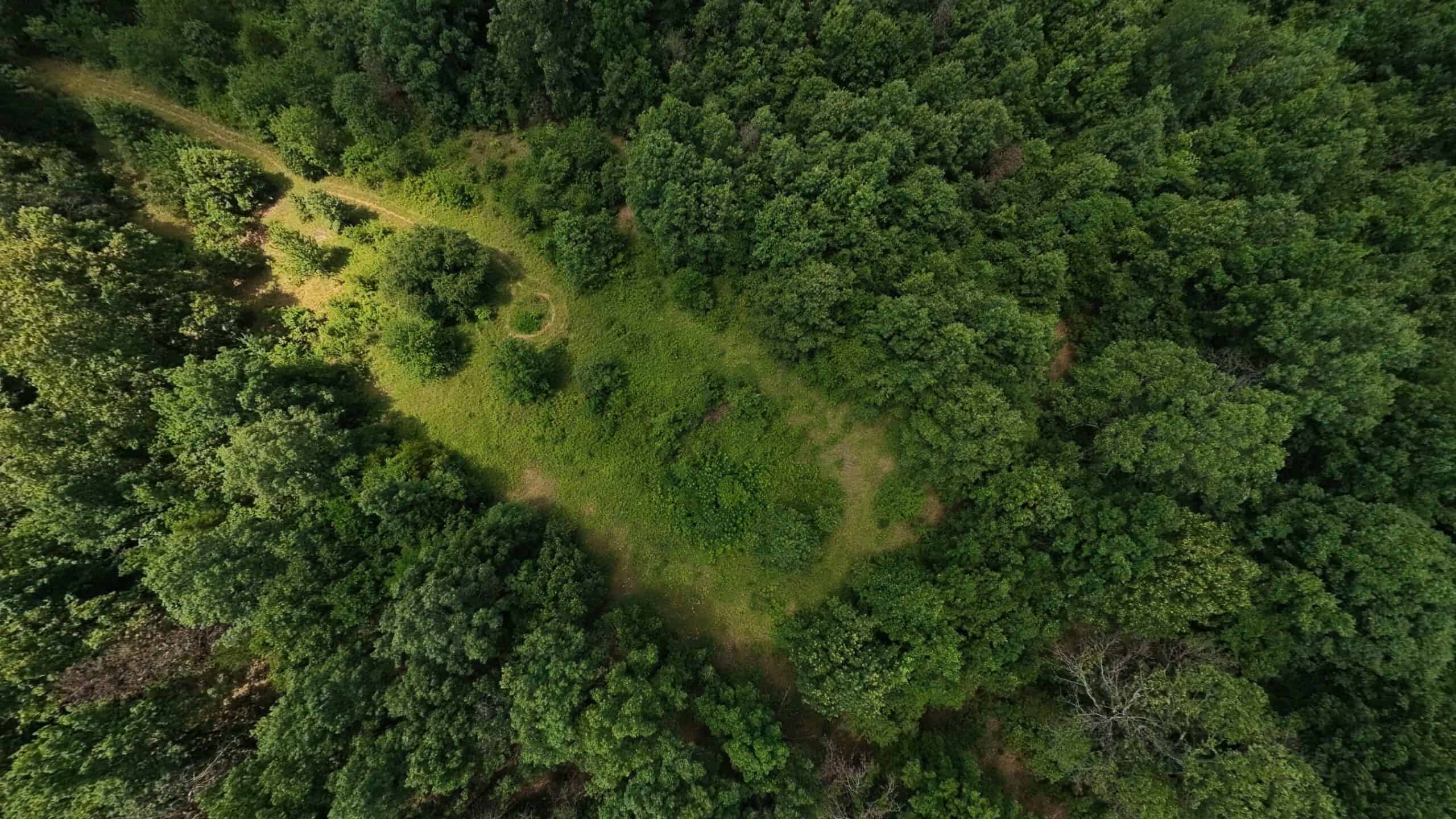 Hunting Property in the Ozarks