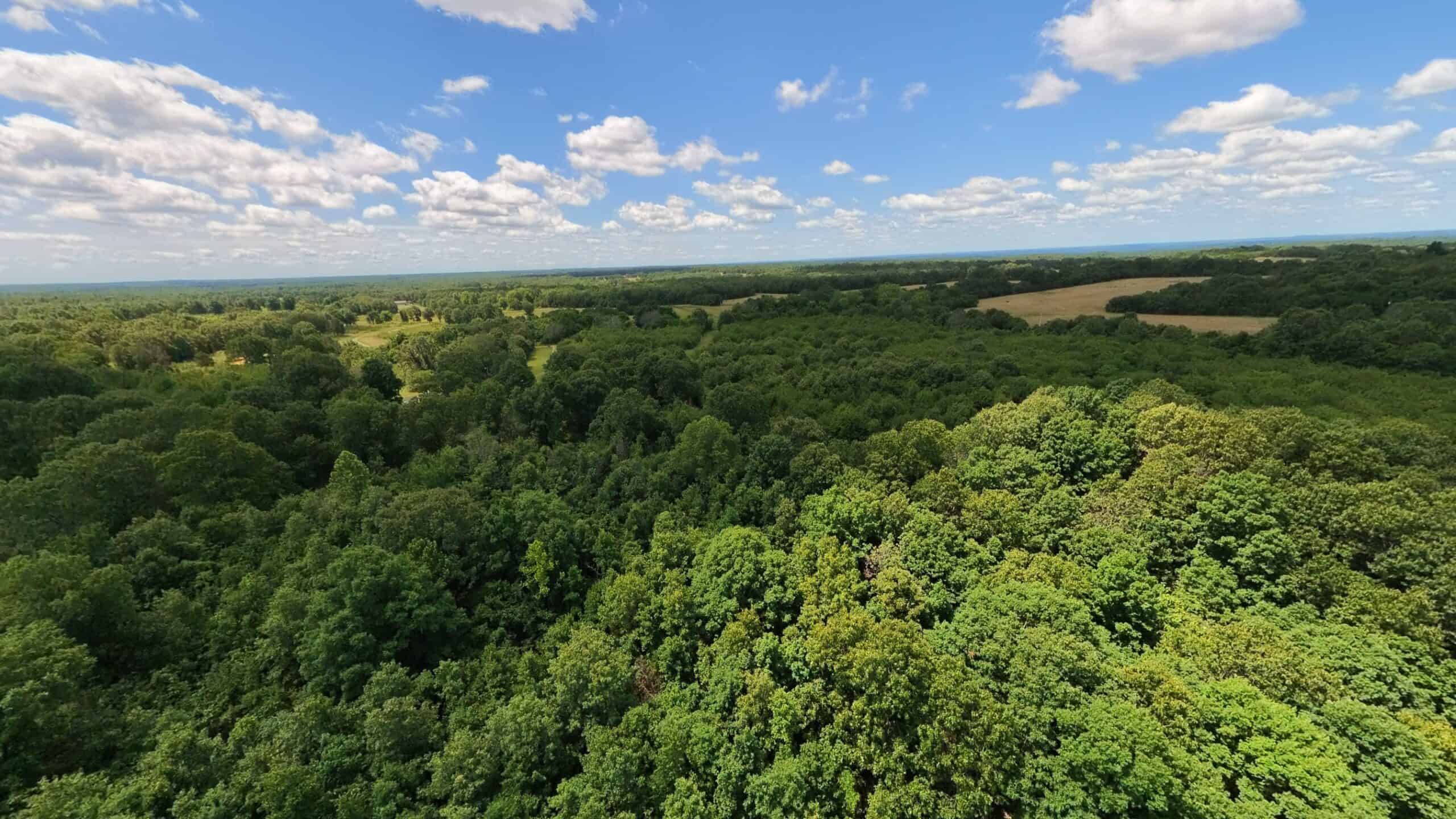 Hunting Property in the Ozarks
