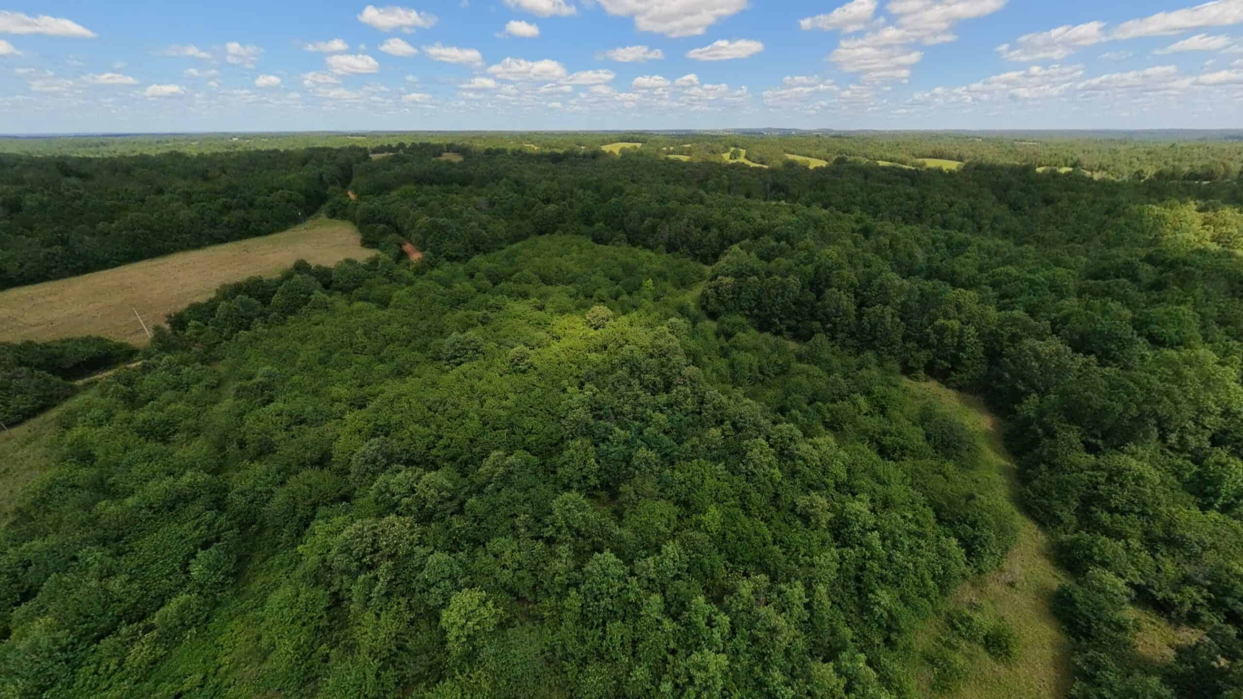Hunting Property in the Ozarks
