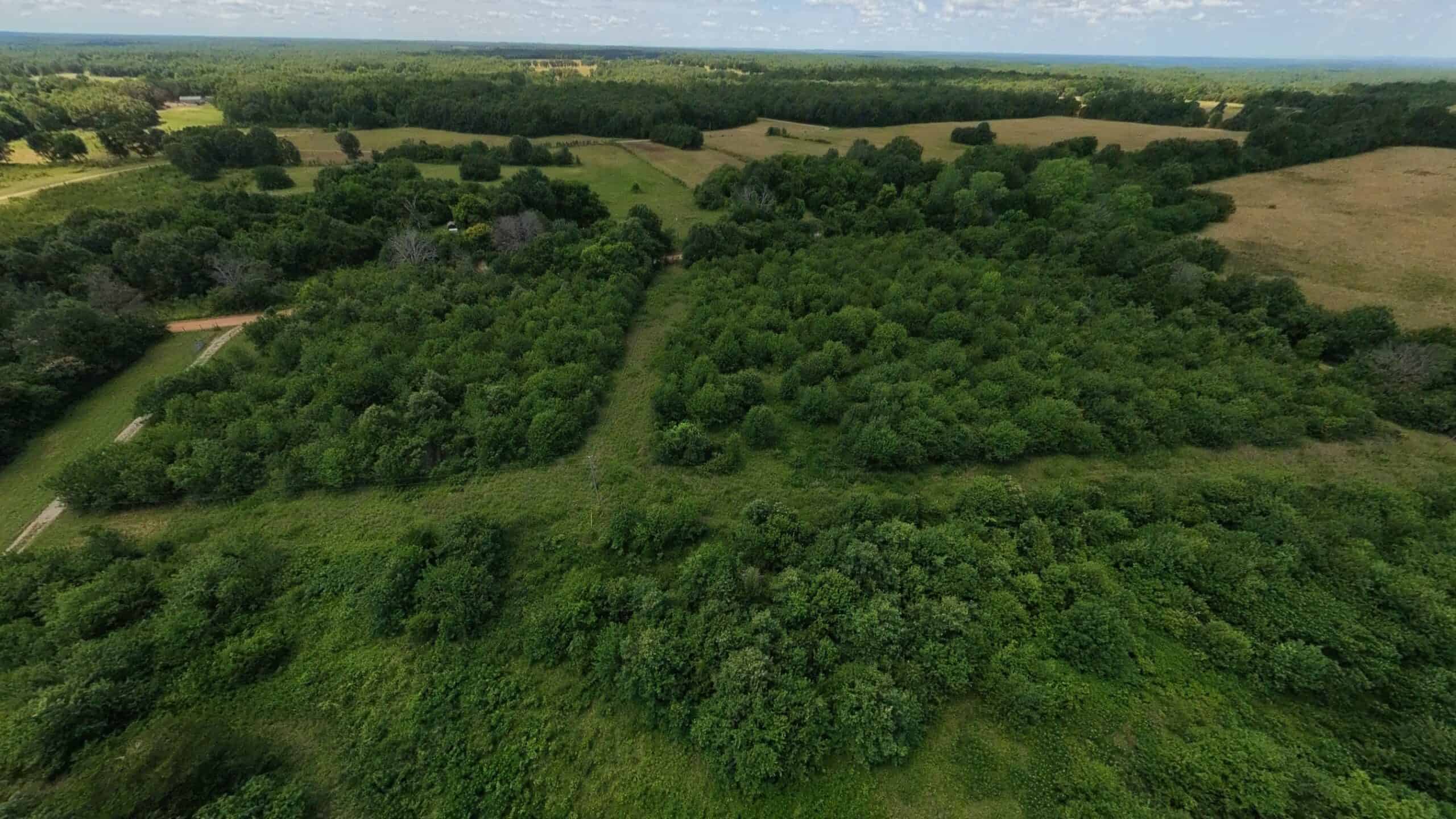 Hunting Property in the Ozarks