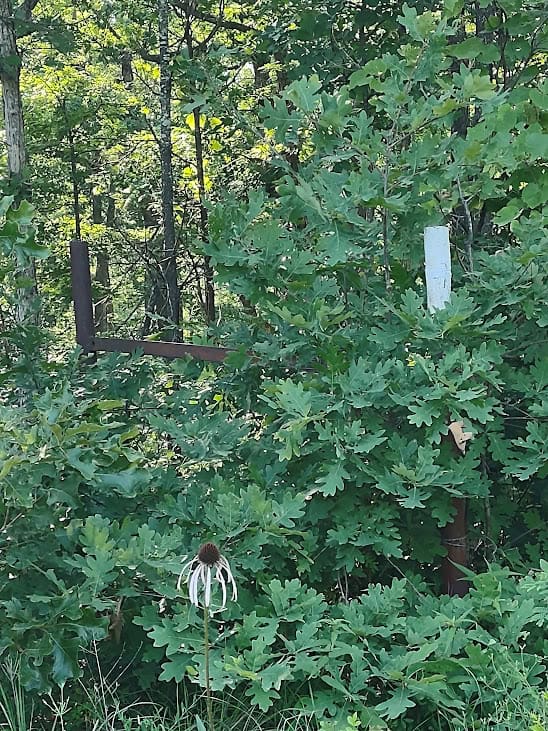 Hunting & Recreational Land For Sale Eldridge, Laclede County Mo.