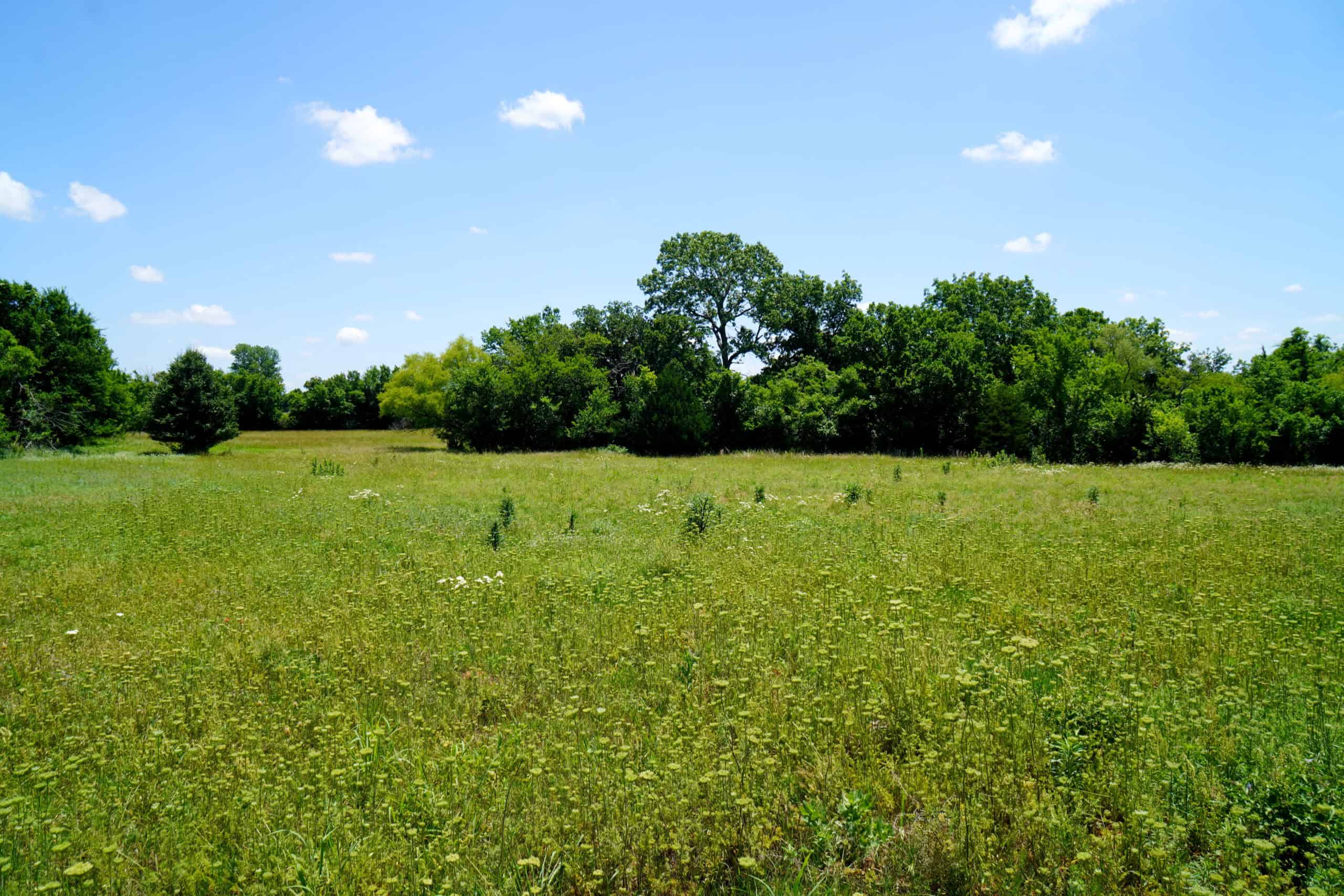 Lincoln County Recreational Homesite, Pond And Acreage For Sale