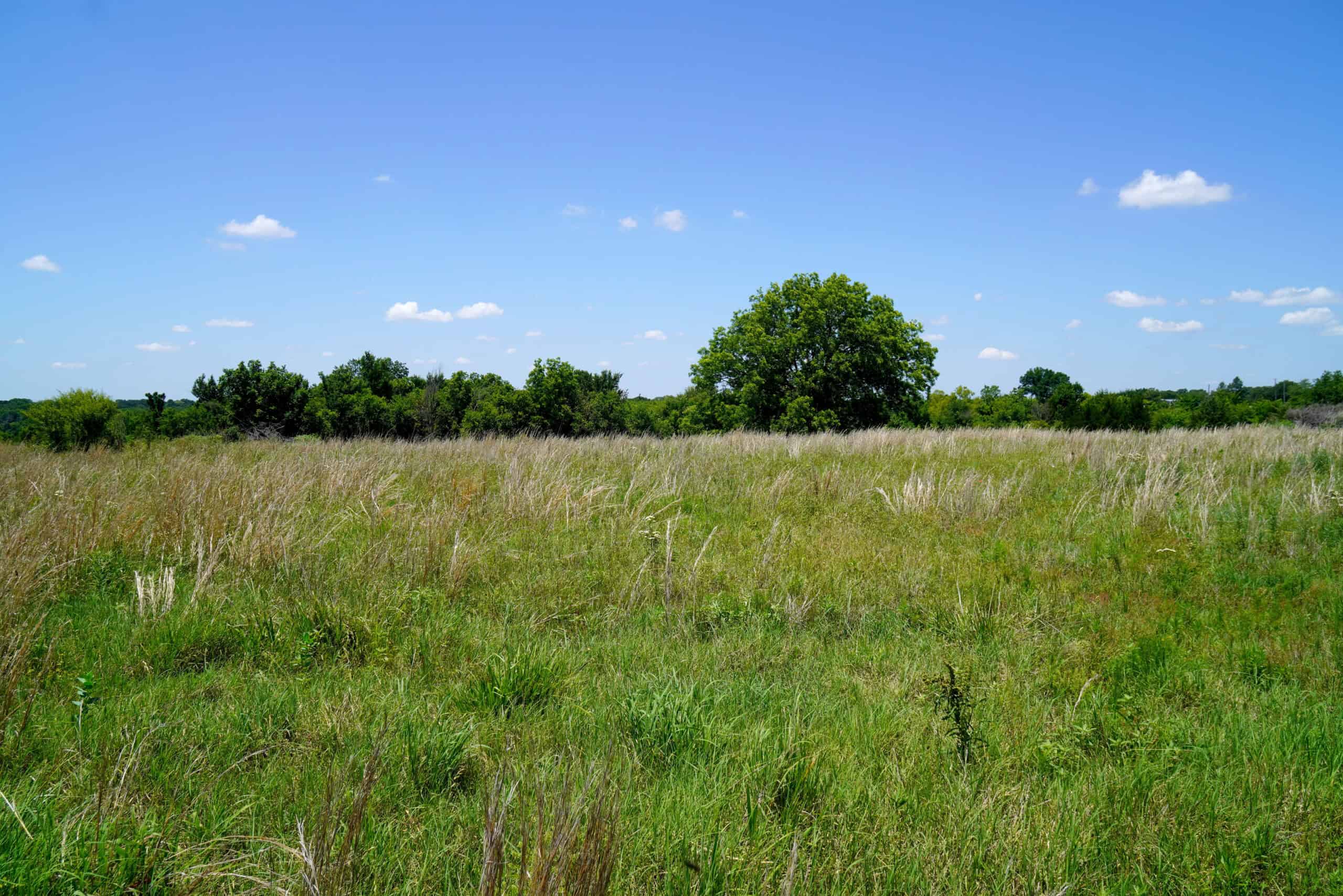 Lincoln County Recreational Homesite, Pond And Acreage For Sale