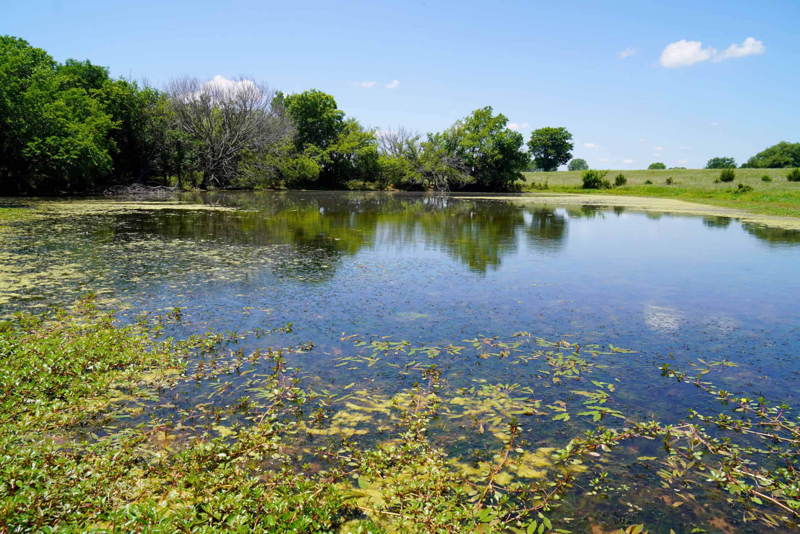 Lincoln County Recreational Homesite, Pond And Acreage For Sale