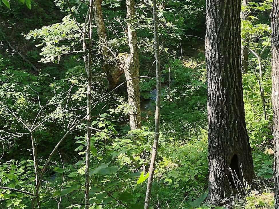 Hunting & Recreational Land For Sale Eldridge, Laclede County Mo.