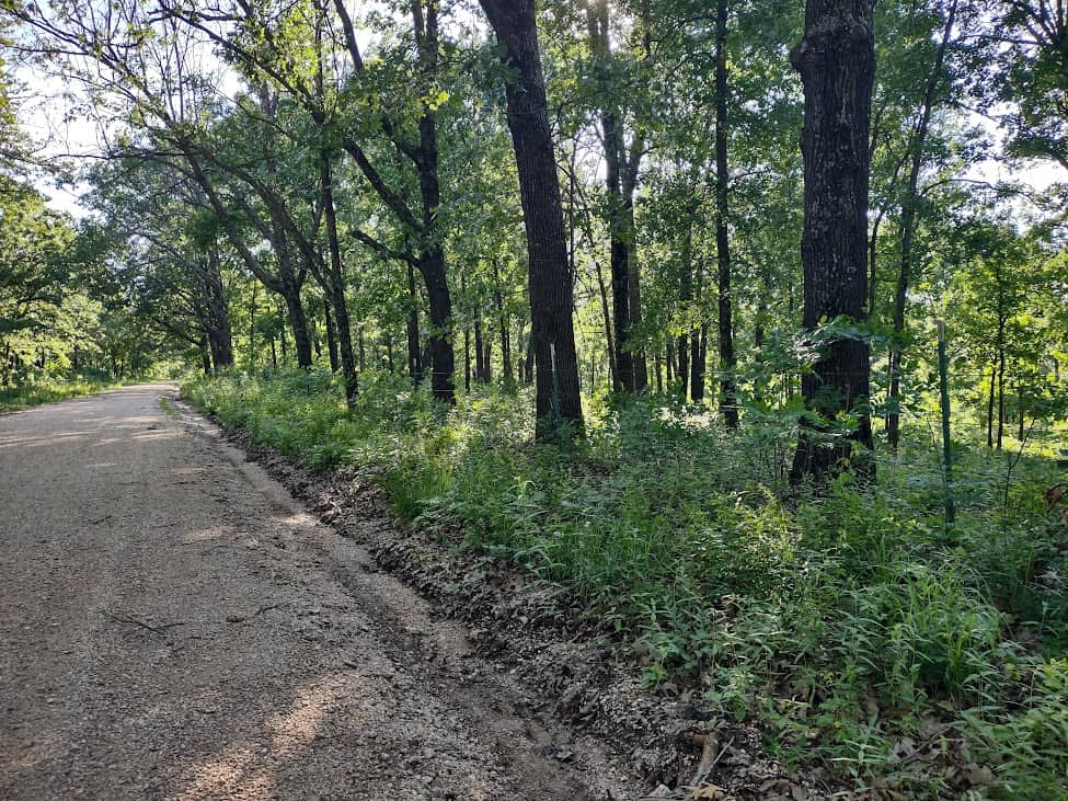 Hunting & Recreational Land For Sale Eldridge, Laclede County Mo.