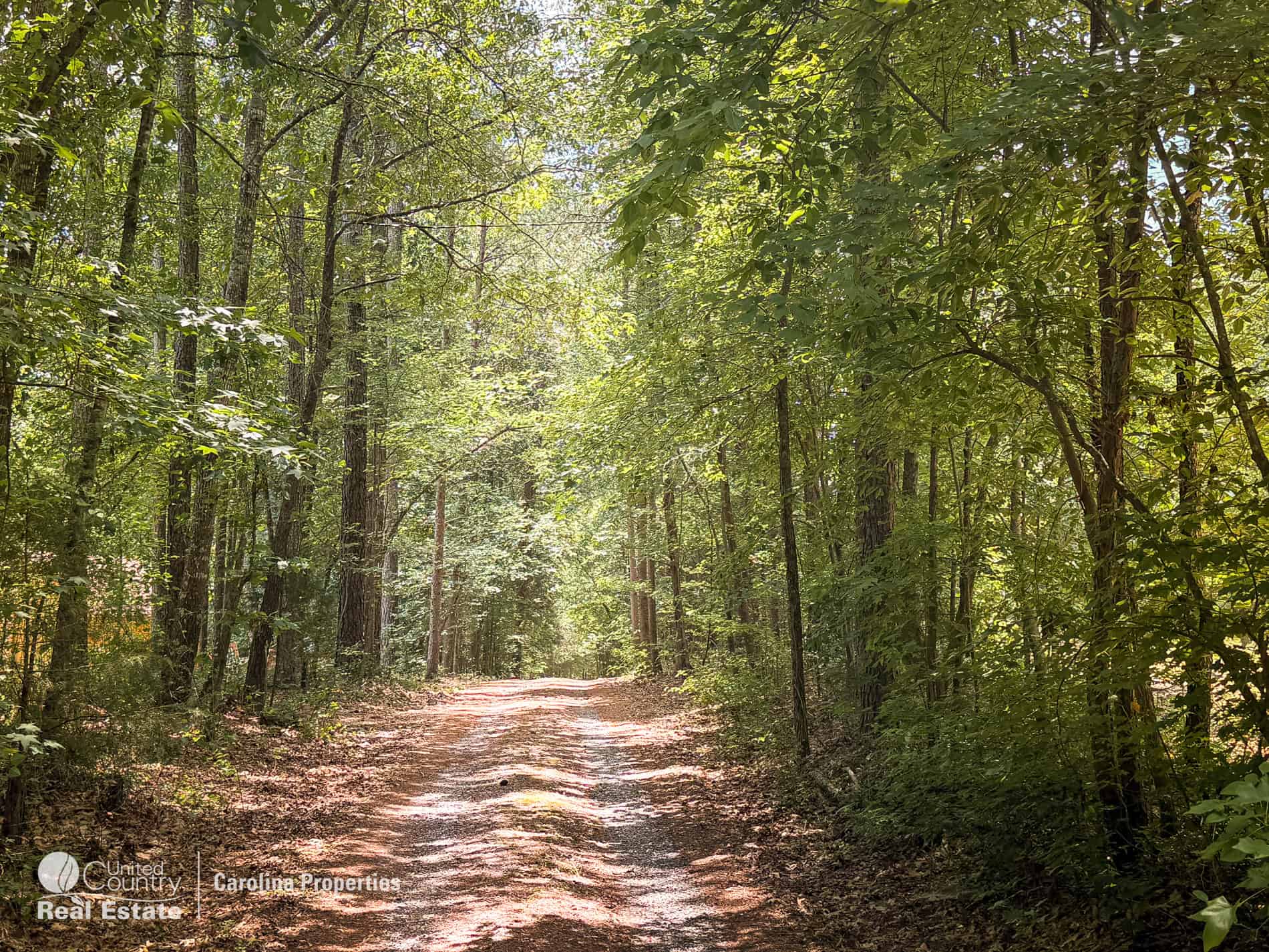 106 Acres of Hunting, Recreational, Timber, and Rural Lifestyle Land for Sale in Gold Hill, NC