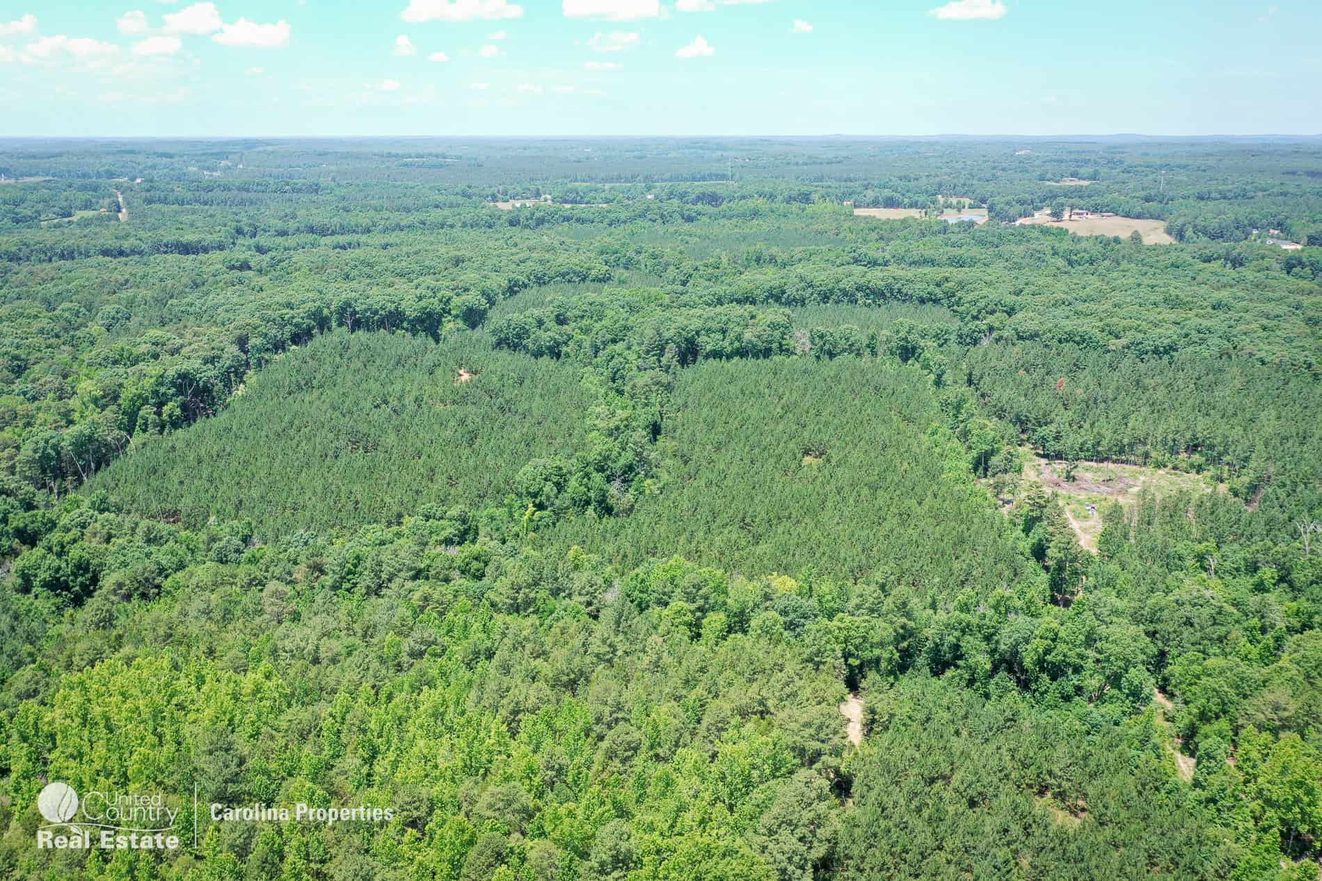 106 Acres of Hunting, Recreational, Timber, and Rural Lifestyle Land for Sale in Gold Hill, NC