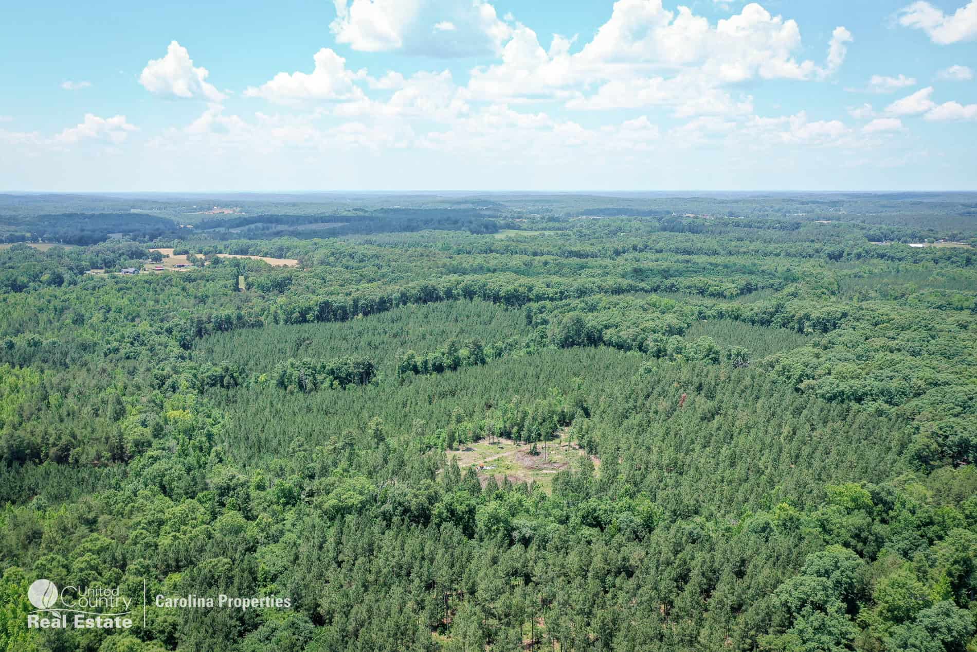 106 Acres of Hunting, Recreational, Timber, and Rural Lifestyle Land for Sale in Gold Hill, NC