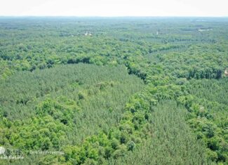 106 Acres of Hunting, Recreational, Timber, and Rural Lifestyle Land for Sale in Gold Hill, NC