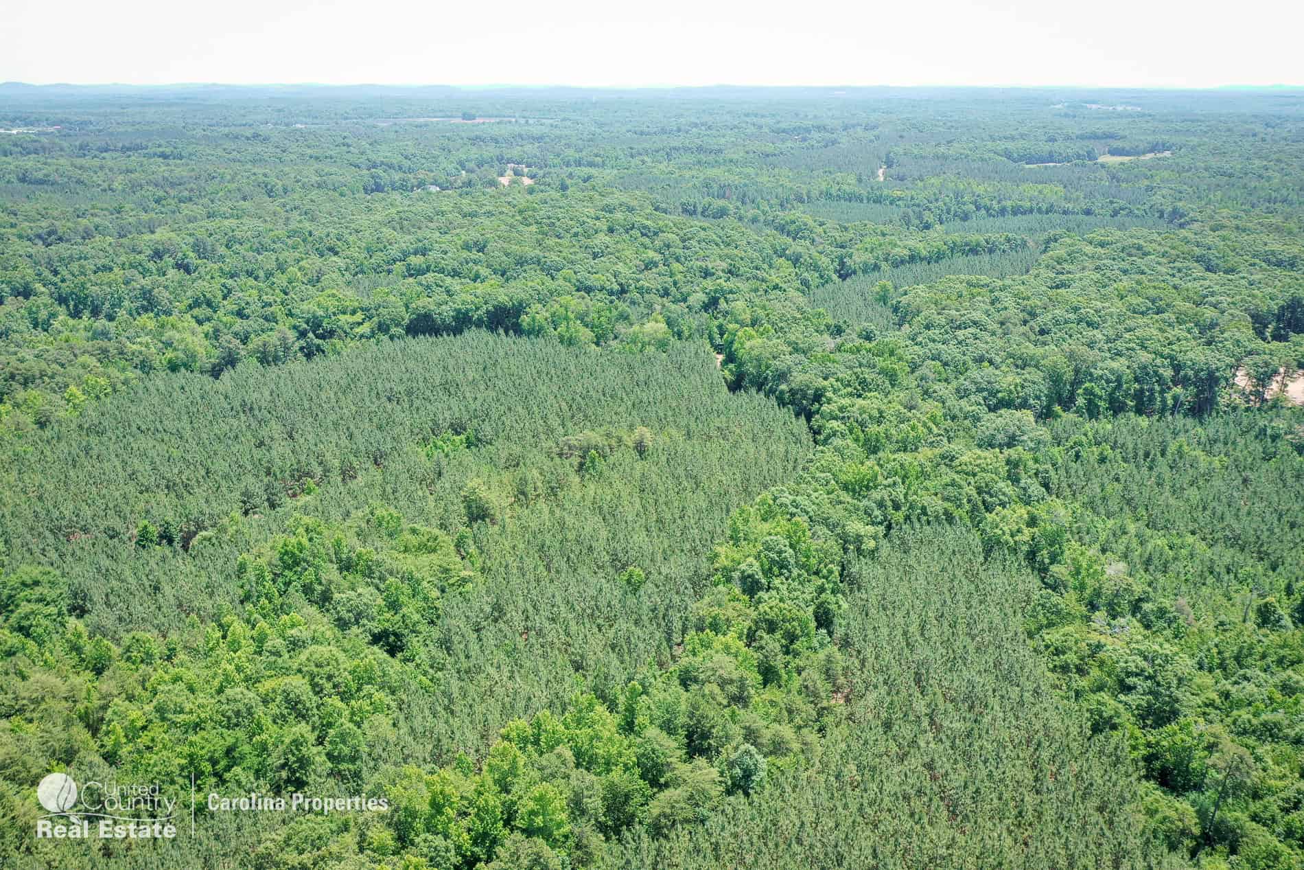 106 Acres of Hunting, Recreational, Timber, and Rural Lifestyle Land for Sale in Gold Hill, NC