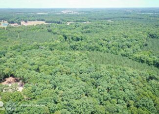 106 Acres of Hunting, Recreational, Timber, and Rural Lifestyle Land for Sale in Gold Hill, NC