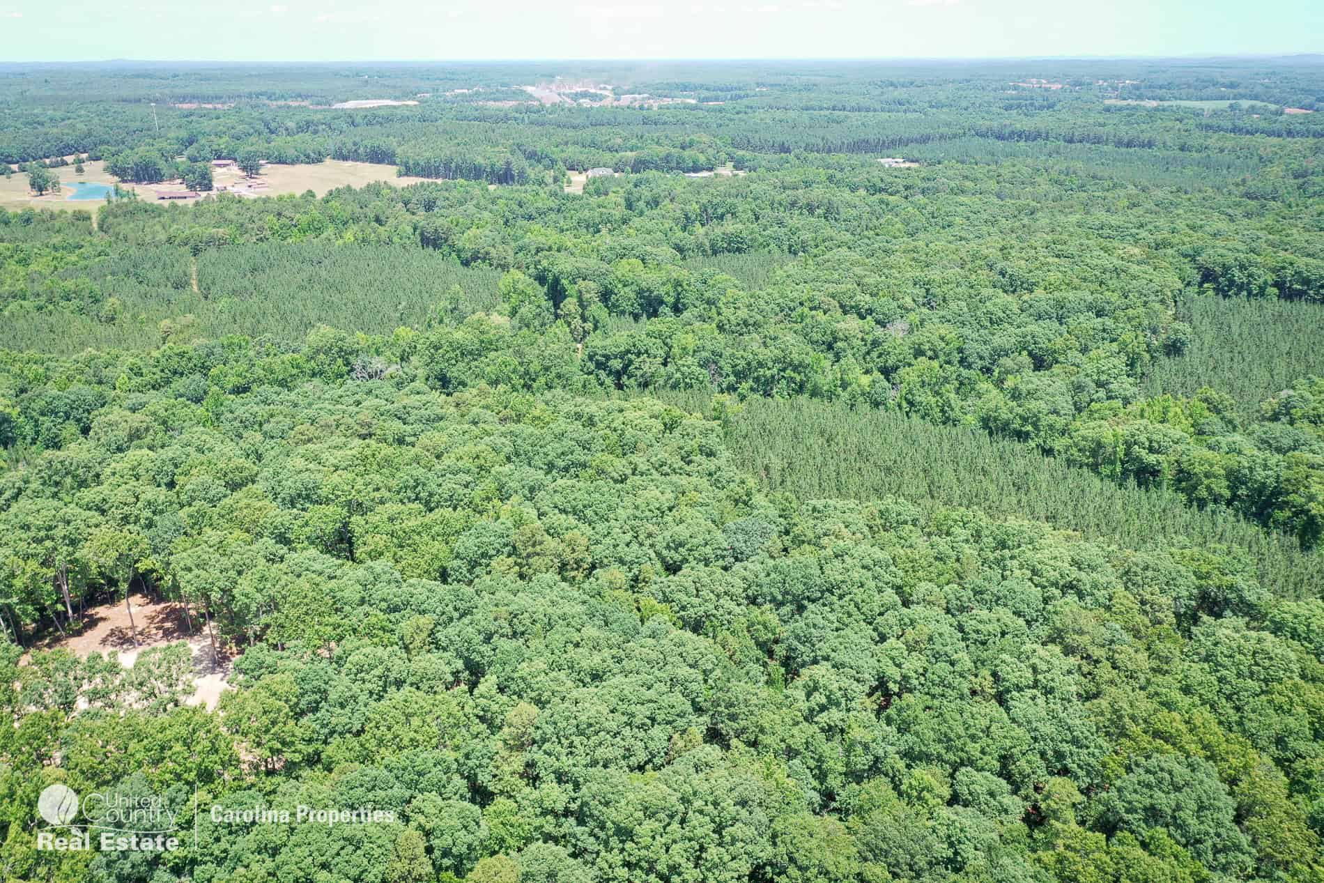 106 Acres of Hunting, Recreational, Timber, and Rural Lifestyle Land for Sale in Gold Hill, NC
