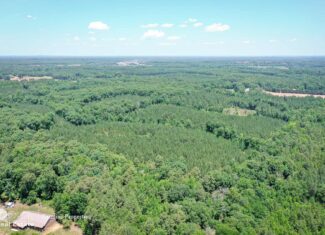 106 Acres of Hunting, Recreational, Timber, and Rural Lifestyle Land for Sale in Gold Hill, NC