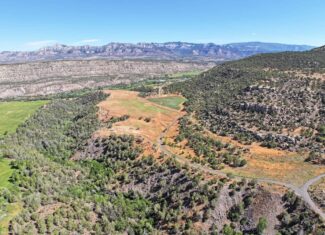Irrigated Land and Building Site For Sale in Western Colorado