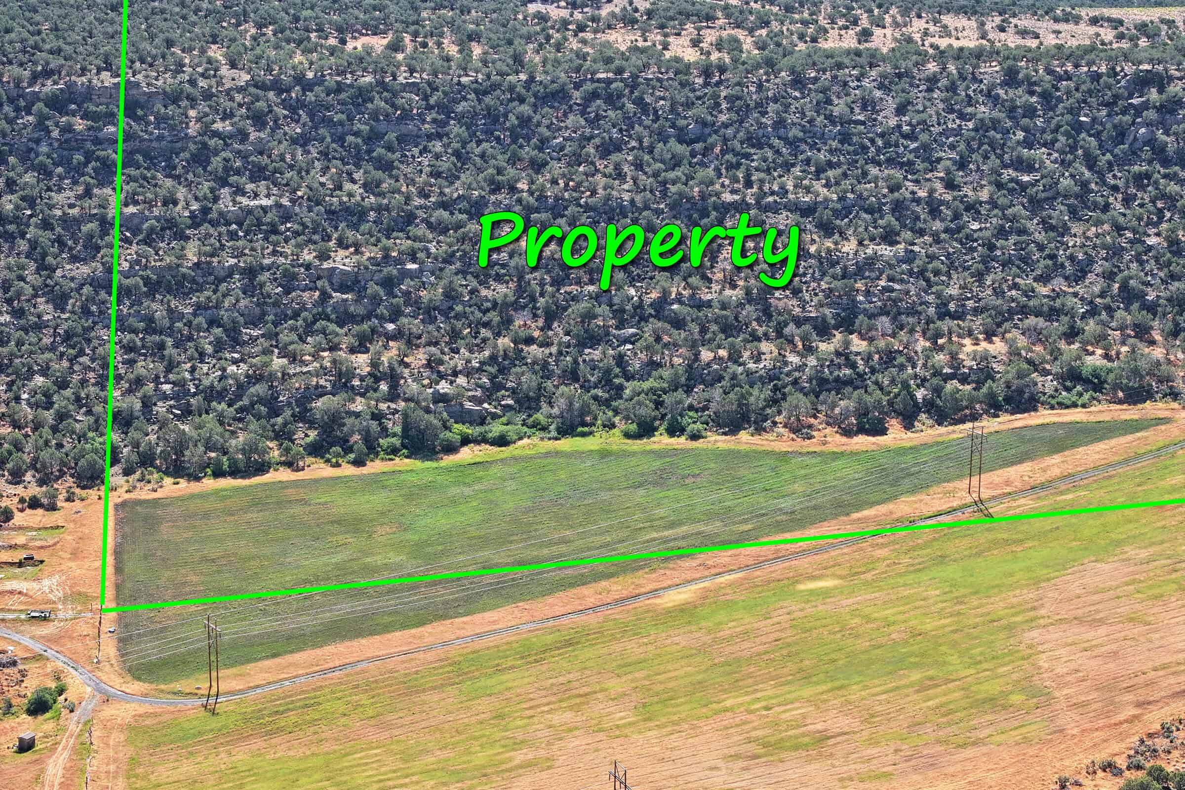 Irrigated Land and Building Site For Sale in Western Colorado