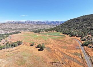 Irrigated Land and Building Site For Sale in Western Colorado