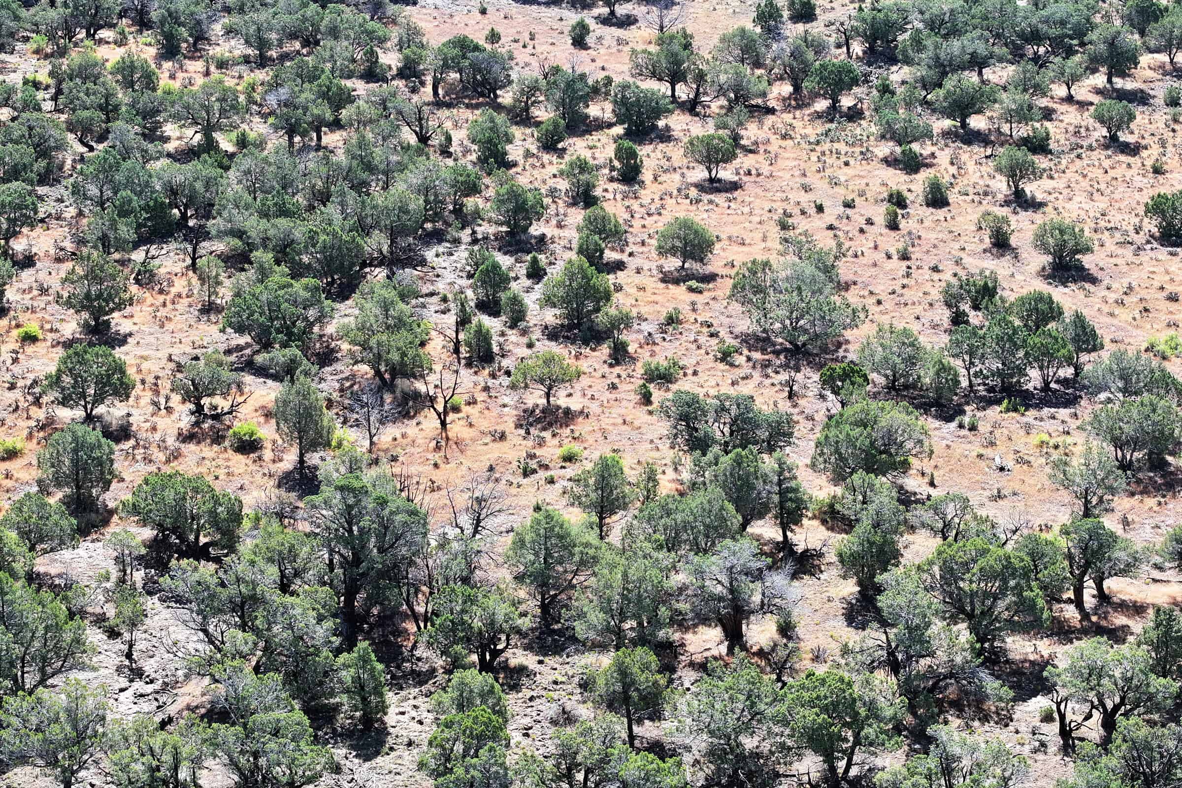 Irrigated Land and Building Site For Sale in Western Colorado