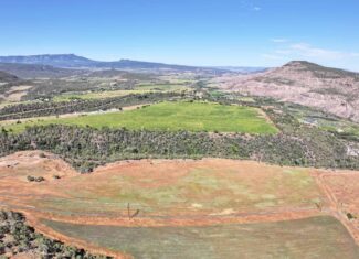 Irrigated Land and Building Site For Sale in Western Colorado