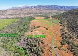 Irrigated Land and Building Site For Sale in Western Colorado