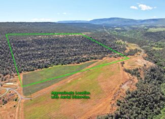 Irrigated Land and Building Site For Sale in Western Colorado