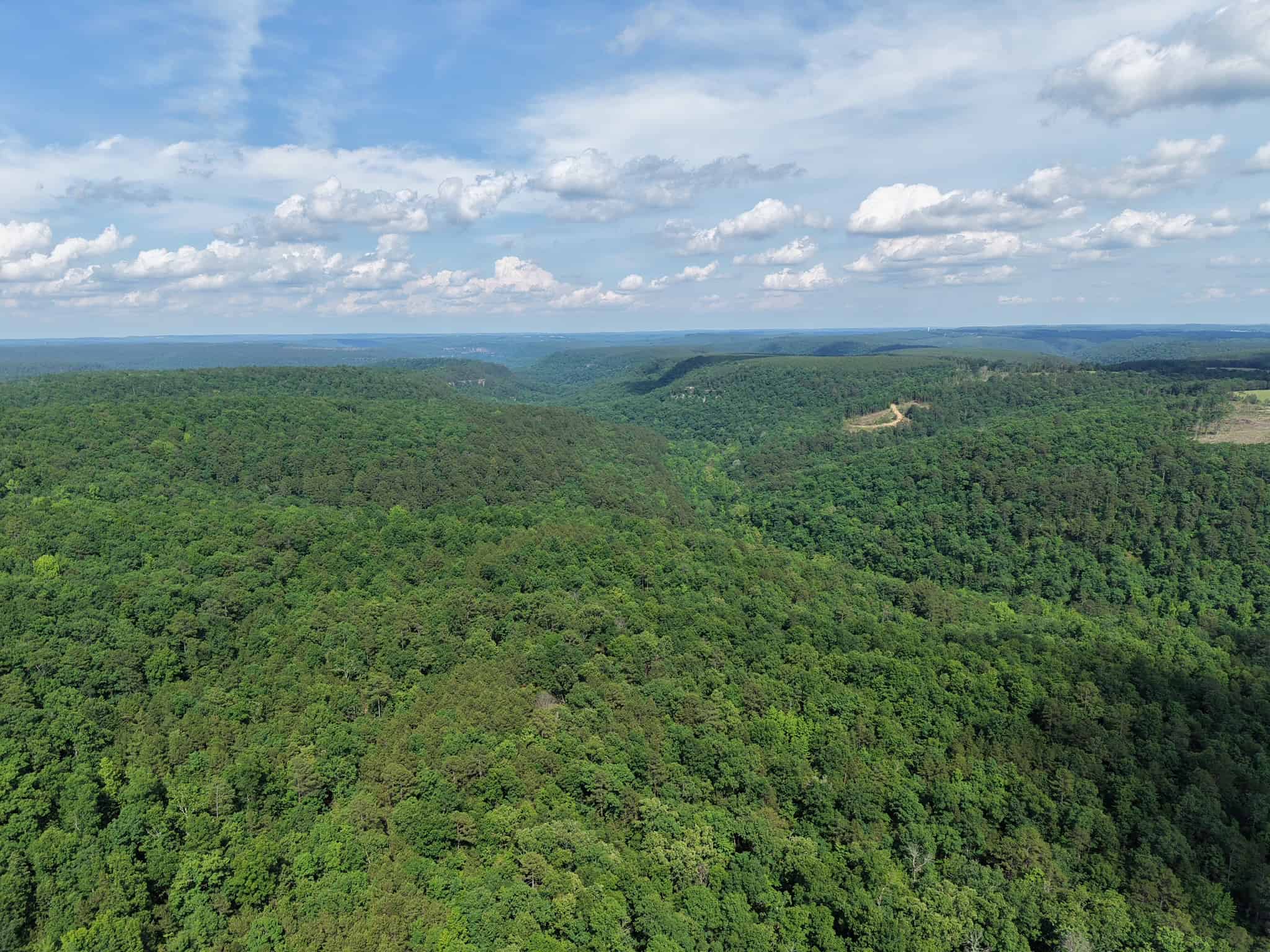 80 Acres with Year Round Creek in the Ozark Mountains For Sale