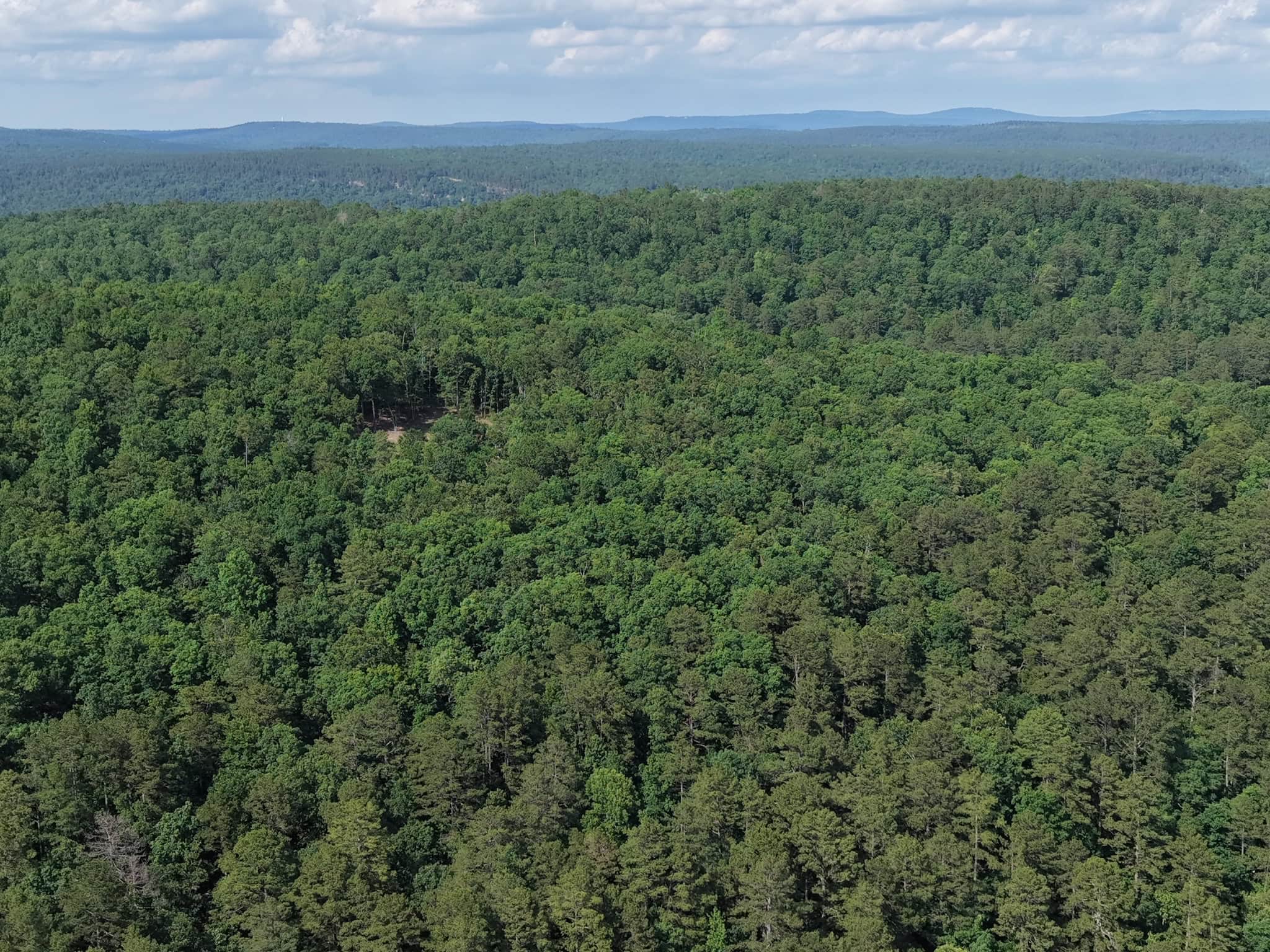 80 Acres with Year Round Creek in the Ozark Mountains For Sale