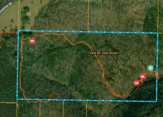 80 Acres with Year Round Creek in the Ozark Mountains For Sale