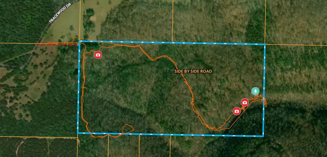 80 Acres with Year Round Creek in the Ozark Mountains For Sale
