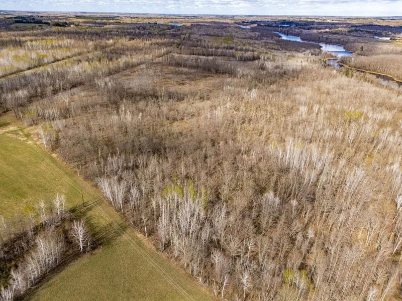 142 Acres of Prime Hunting & Riverfront Land Near Moose Lake